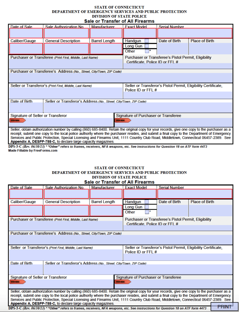 Document Preview