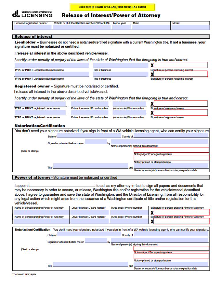 Document Preview