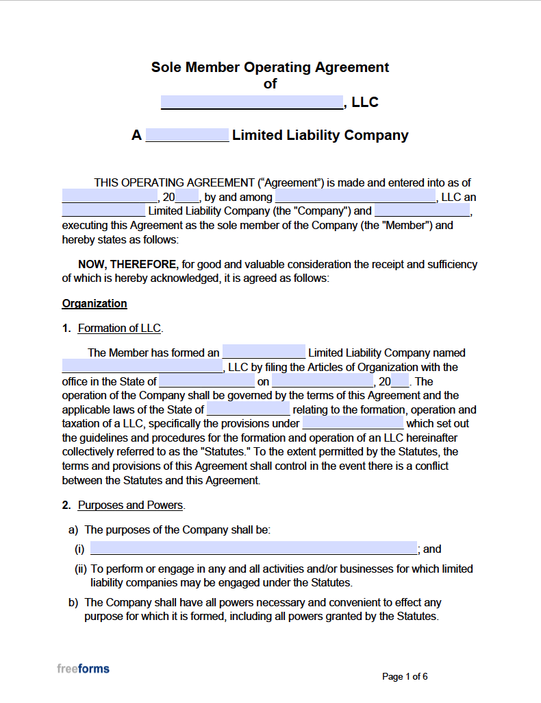 Single Member Llc Articles Of Organization Template