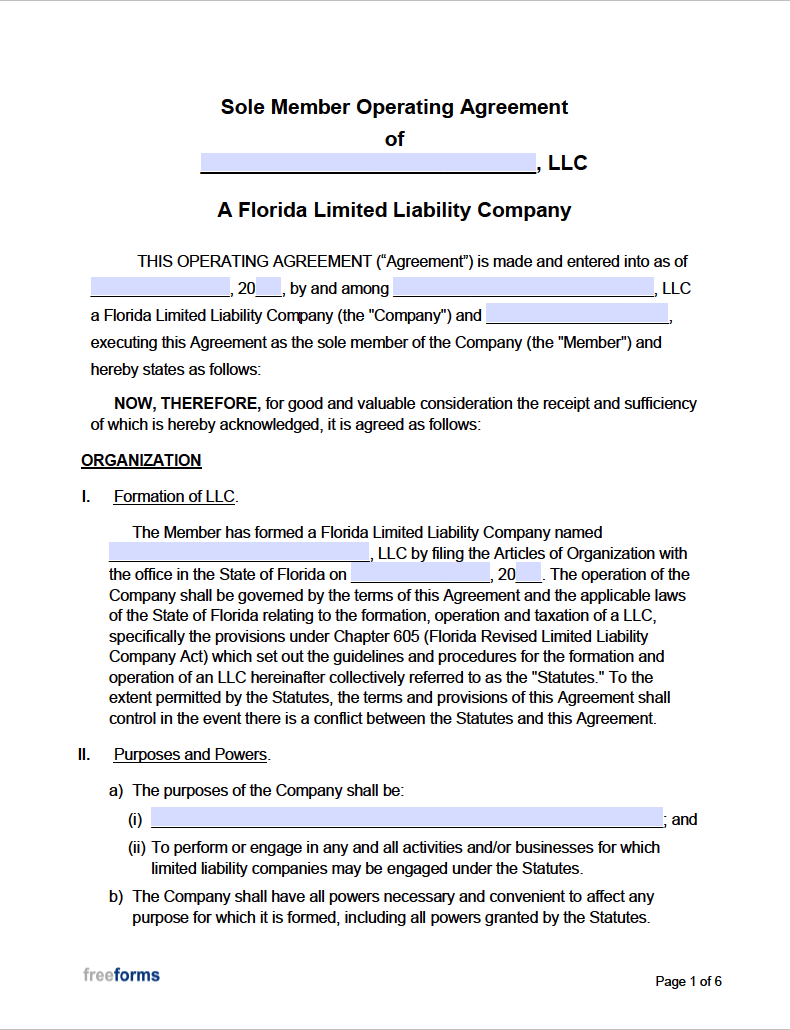 Florida Llc Operating Agreement Template